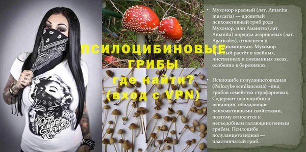 Альфа ПВП Алексин