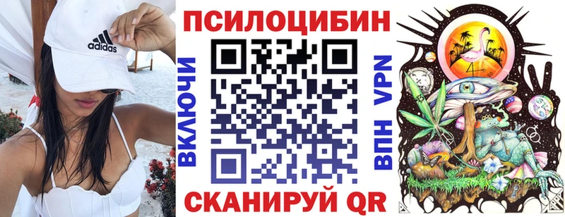 Псилоцибиновые грибы Psilocybe  Далматово 